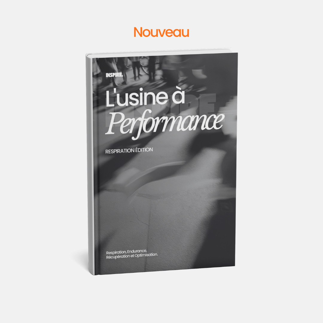 Ebook L'Usine À Performance