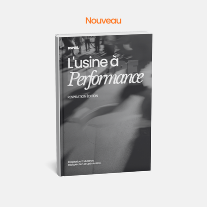 Ebook L'Usine À Performance