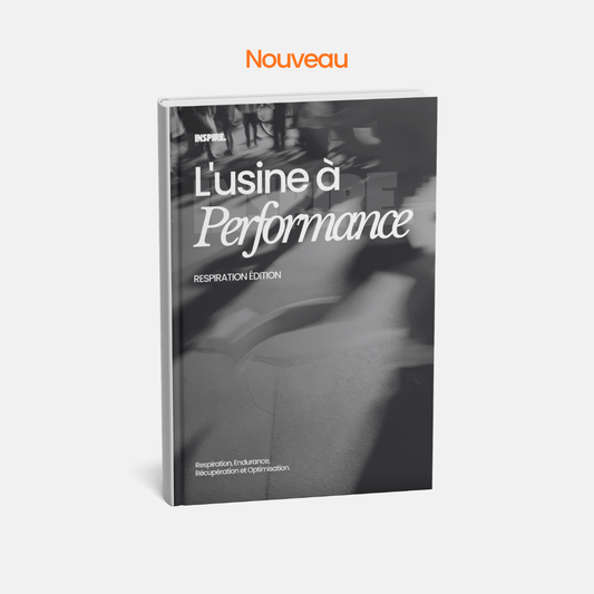 Ebook L'Usine À Performance
