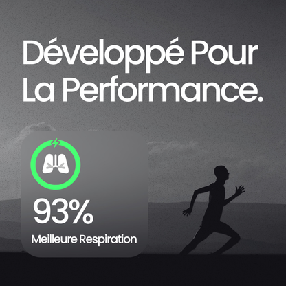 Ebook L'Usine À Performance