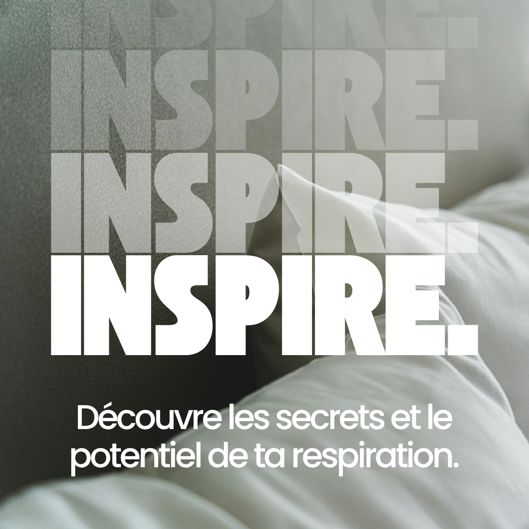 Ebook Protocole De Récupération Élite