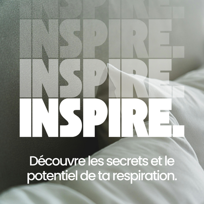 Ebook Protocole De Récupération Élite