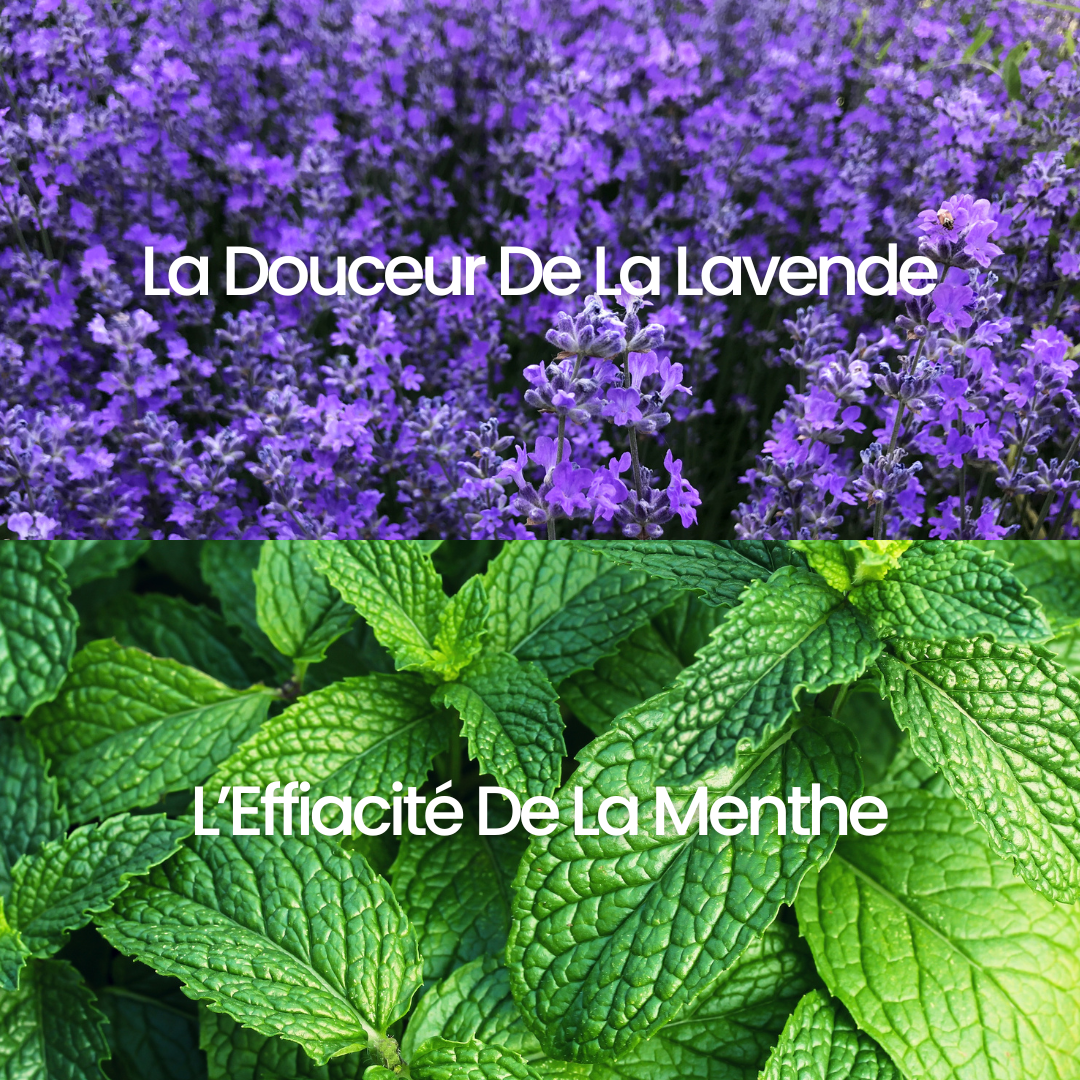 Spray Sommeil Inspire